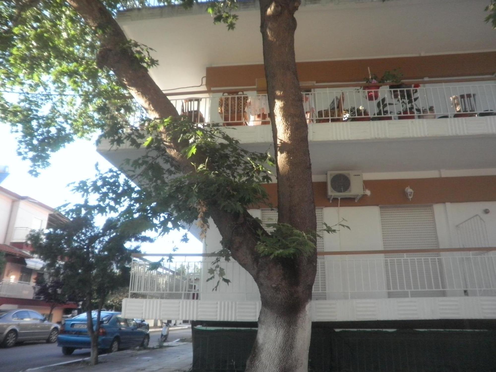 Apartments Anesis Pantazis Asprovalta Bagian luar foto